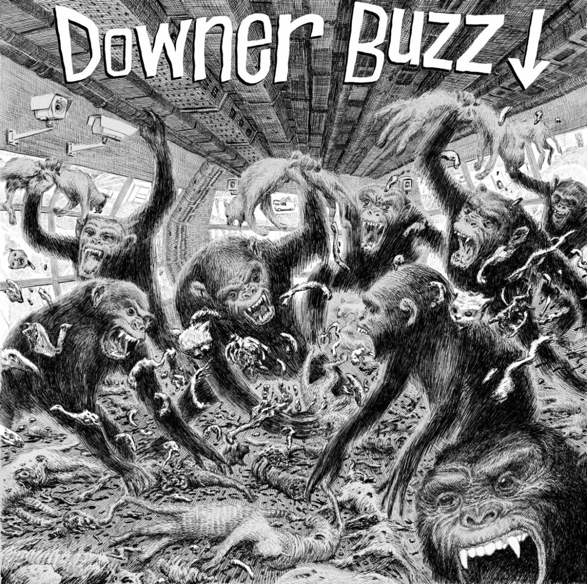 Downer Buzz: Downer Buzz